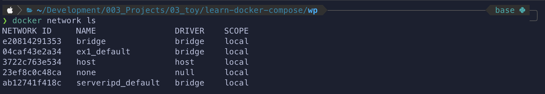 result to enter command 'docker network ls' in terminal.