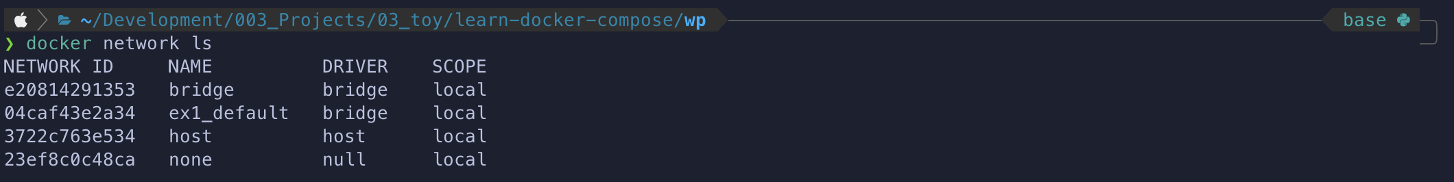 result to enter command 'docker network ls' in terminal.