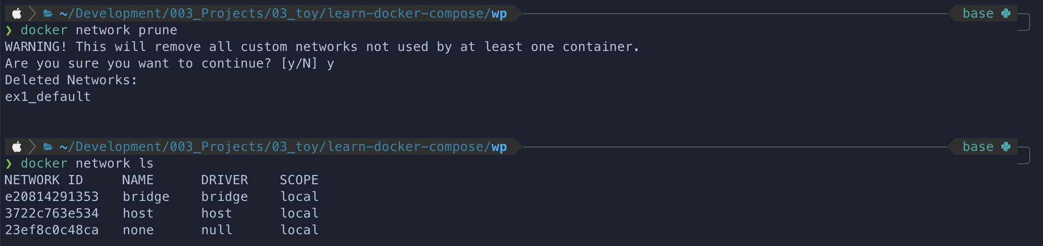 result to enter command 'docker network ls' after entered 'docker network prune' in terminal.